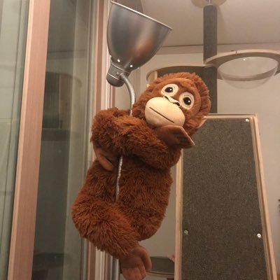 teq1998's profile picture. 