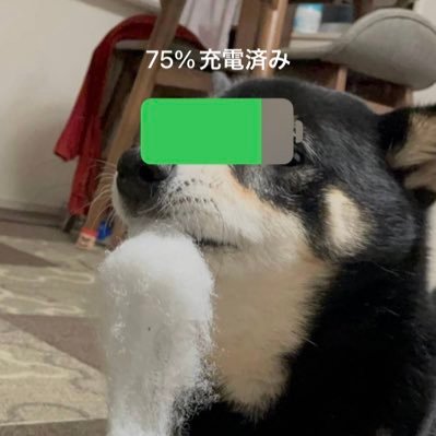 INqZOdUtr2yTaVV's profile picture. ゲーム用垢です　最近は鈴蘭の剣が楽しすぎる。もっと流行ってほしい