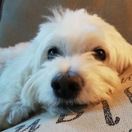 1EmersonBiggins's profile picture. 