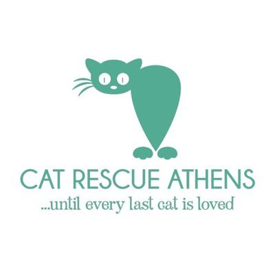 CatRescueAthens Profile Picture