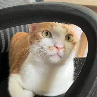 Sebuhi | WeAbove (@juliejooge) Twitter profile photo