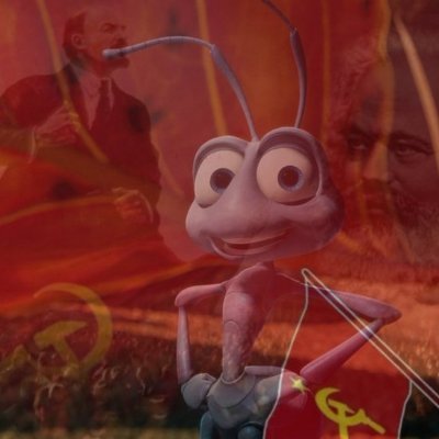 MoskysCojonero's profile picture. 