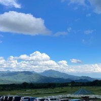 ✾ (@dt46224416) Twitter profile photo