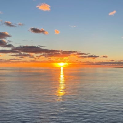 abc87889's profile picture. 