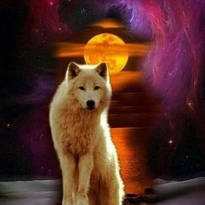 mikehaley610's profile picture. 