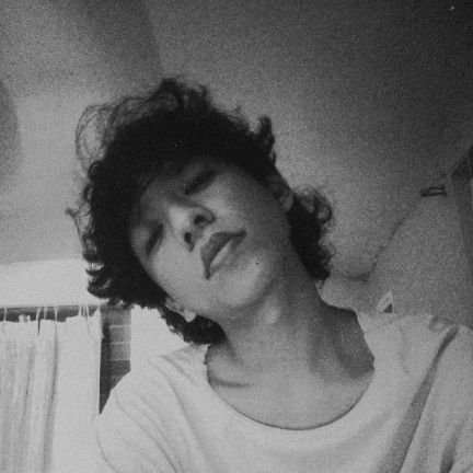 NickzPolo's profile picture. "Always a turtle"