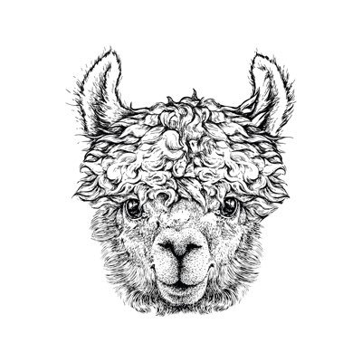 TheAlpaca18's profile picture. • The Hermetic Flower Company • ~Probiotics~Living Soil~Soil&Soul Alchemy~InnerGalacticWizardry~Esoteric Erudite~Philasophia~