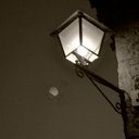 rosa morgan - @rosamorgan1 - Twitter