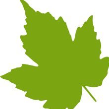 altib_albadil's profile picture. عودة للطبيعة التي وهبنا الله تعالى إياها وجعل فيها شفاءنا 🌧 تخصصي صيدلة 🌾 أهتم بالأعشاب والمكملات الغذائية 🌿