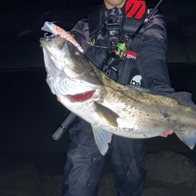 yuki60139363's profile picture. 岡山で釣りしてます