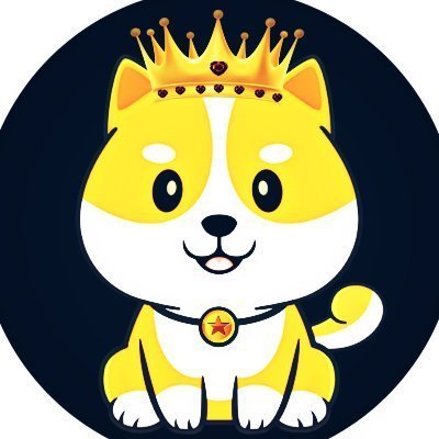 Royal Floki Inu is the next meme coin going to the moon 🚀🚀🚀 Join us on Telegram : https://t.co/dk3g3QQ7tl