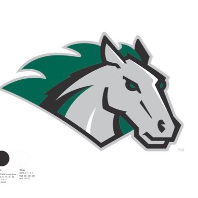 Stevenson University Men's Hockey Profile