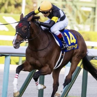 Bubb5117's profile picture. 競馬　オーバーウォッチ2