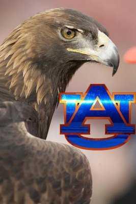 Husband, Father, Auburn alumni