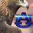 auburntbird's profile image