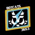 BOTCATS 3653 (@botcats3653) Twitter profile photo BOTCATS 3653 (@botcats3653) Twitter profile photo