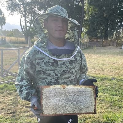 rodrigokineuci's profile picture. código
0281 0438 6745