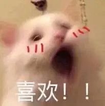 Hxxi_51's profile picture. 20↑✨orv/Jungdok