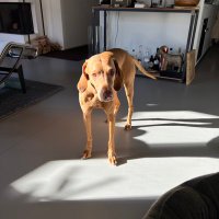 sandra surber (@subbotnik_zh) Twitter profile photo