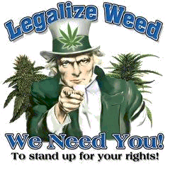 This is the official twitter of PotSmokerzParadise
We are dedicated to spreading the truth about marijuana prohibition