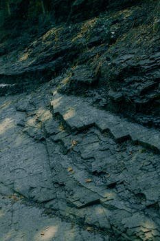 aurellephynoli2's profile picture. @tapioca_dao pearl club member