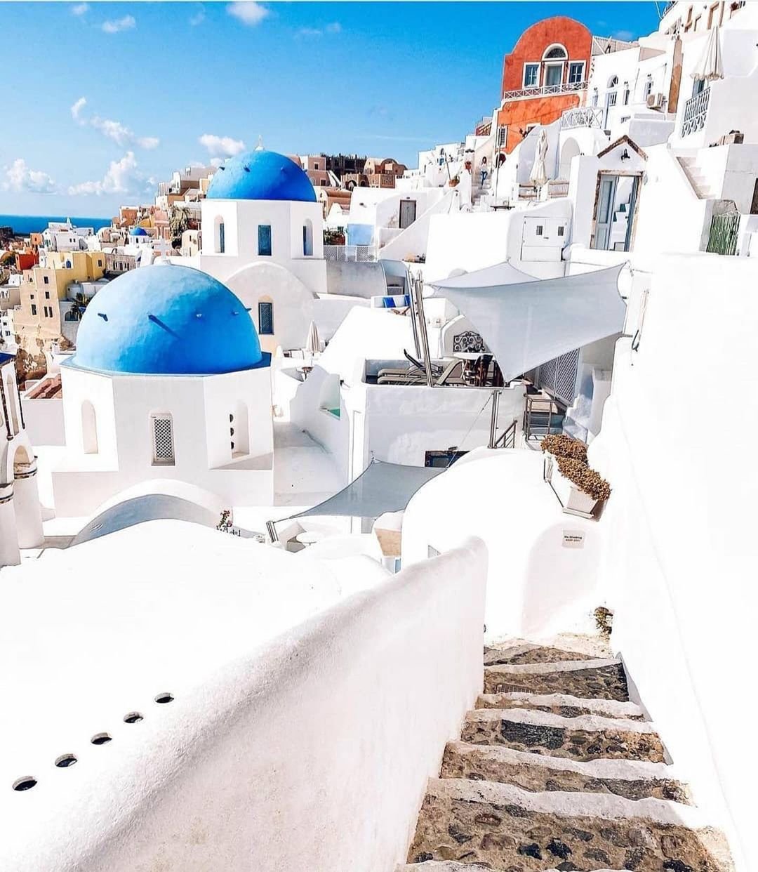 disnemeca1976's profile picture. We offer digits that define growth