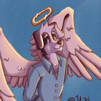 Felipe⭐さんのプロフィール画像