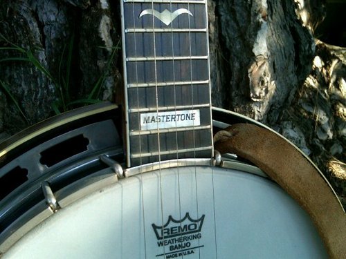 ConradNorton's profile picture. Professional, versatile musician with a passion for playing banjo, upright bass, and bass guitar. Enjoy local area open mic with various artists.