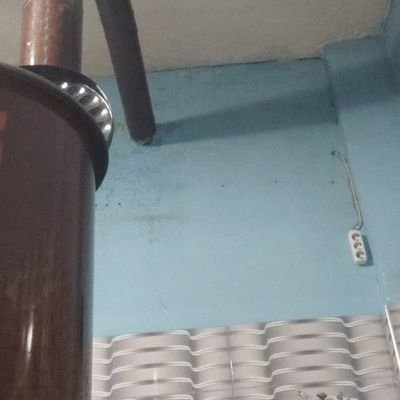 WLjRDFpTKpPrWk1's profile picture.