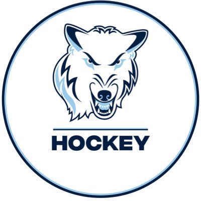 Official Twitter for Northwood University Hockey.