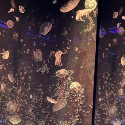 dovivi7's profile picture. 20↑🔞成人 성인/구독