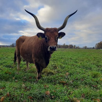 Die Maske bleibt auf! 
Ich leide nicht unter einer Wahrnehmungsstörung, ich genieße sie! NOAFD/ linksgrün versifft, ökologisches Bauen, Landleben