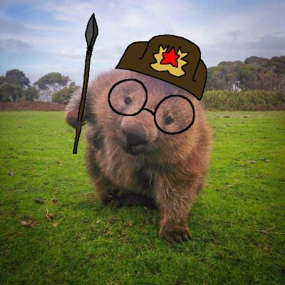 WittyWombat100 Profile Picture