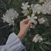 💖🌸Razan Swerki🌸💖 (@swerkiroza) Twitter profile photo 💖🌸Razan Swerki🌸💖 (@swerkiroza) Twitter profile photo