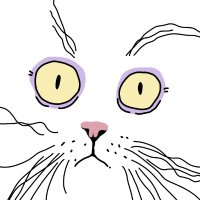 Cat(@wmascat) 's Twitter Profile Photo