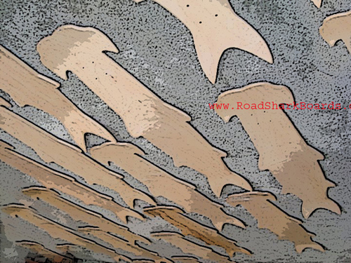 RoadSharkBoards's profile picture. Creating longboards for fun. Selling some in a few stores here and there. Skate diplomacy combined with world-wide travel is a life long dream being lived.