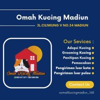 Omah Kucing Madiun(@omahkucingmdiun) 's Twitter Profile Photo