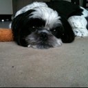 steve.list - @list_steven - Twitter