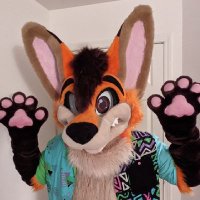 Scruffy the Fox🦊 (@scruffy_fox) 's Twitter Profile