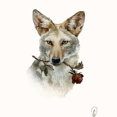 HourlyYote Profile Picture