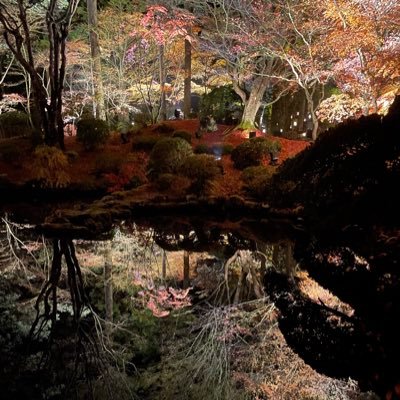 btcsaiko222's profile picture. 仮想通貨だけ触ってます。