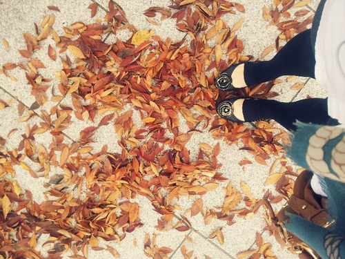 raejung_e's profile picture. Seol_rae/서체디자이너/책/공연/예술/전시회/음악/잡다구리/ :-)