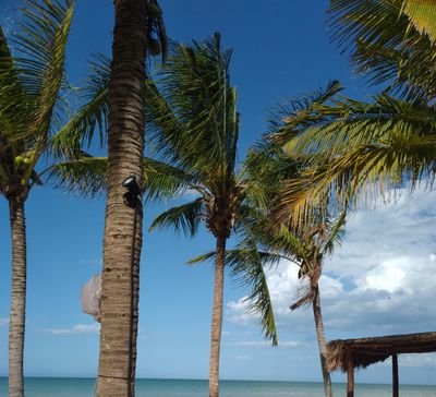 midexedu's profile picture. Vive tu vida no te 
chingando 🤣