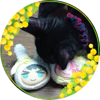 🌸まい🌸(@mai54maitk) 's Twitter Profile Photo