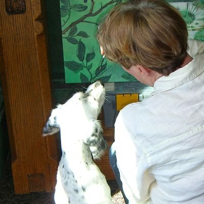 ichinison's profile picture. 