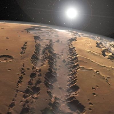 SundogMak's profile picture. 