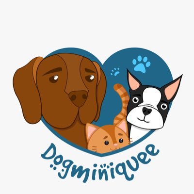 Cambiamos vidas de perritos y gatitos en situación de emergencia 🚨❤️🐾. Los rehabilitamos y después damos en adopción . Síguenos para conocer la labor🐕