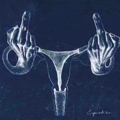 nfelgenh's profile picture. 