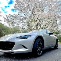 鹿児島の豚 (@vma_majin) 's Twitter Profile Photo 鹿児島の豚 (@vma_majin) 's Twitter Profile Photo