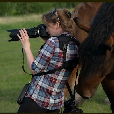 PicturedbyGMG's profile picture. Accredited Manitoba based Photographer, specialized in Equine and Canine Photography.